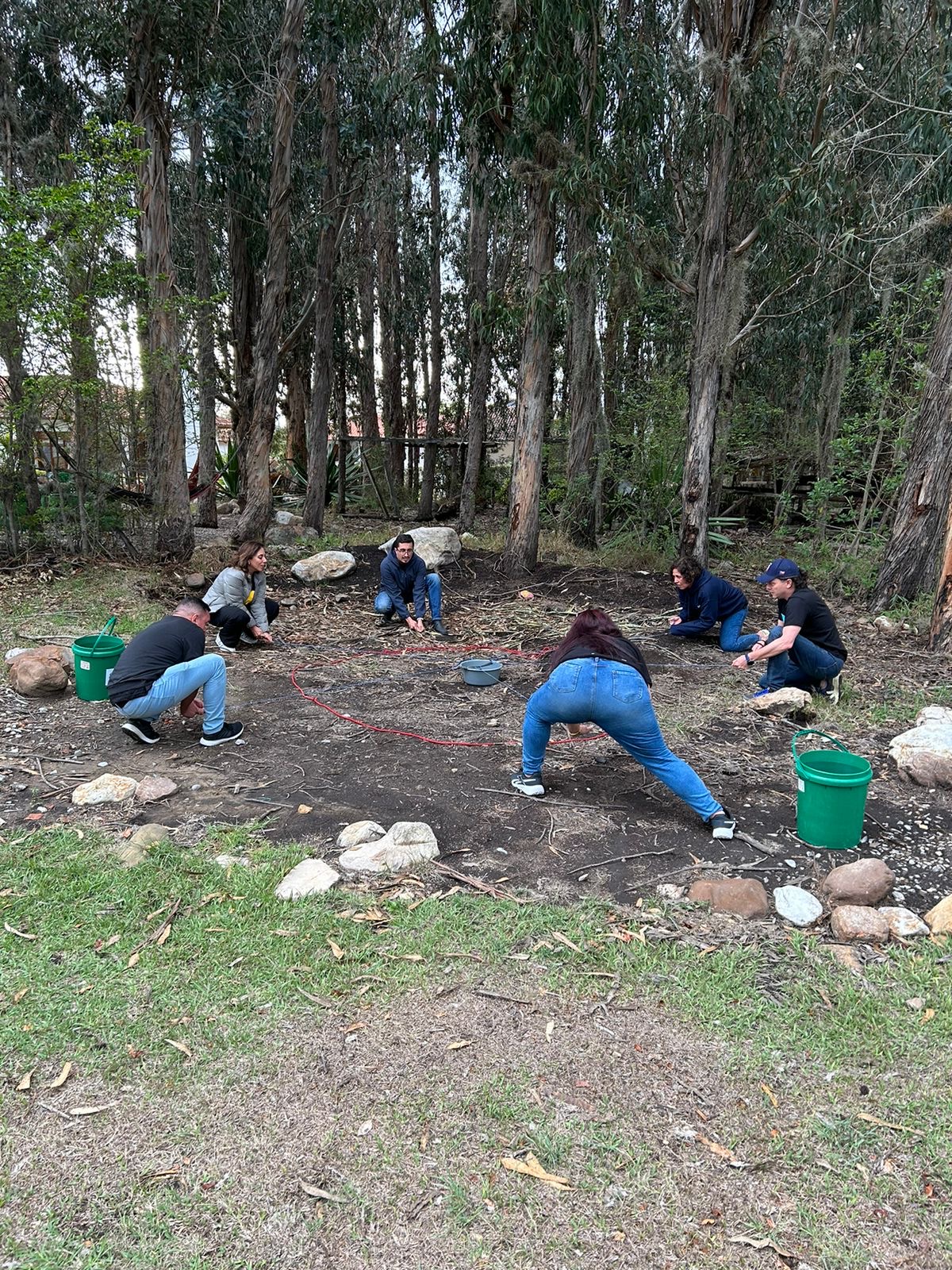 Grupo trabajando en círculo en un bosque